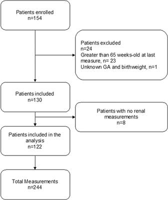 Urinary KIM-1 is not correlated with gestational age among 5-year-old children born prematurely